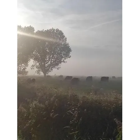 Veerman's Ditzum * Jemgum