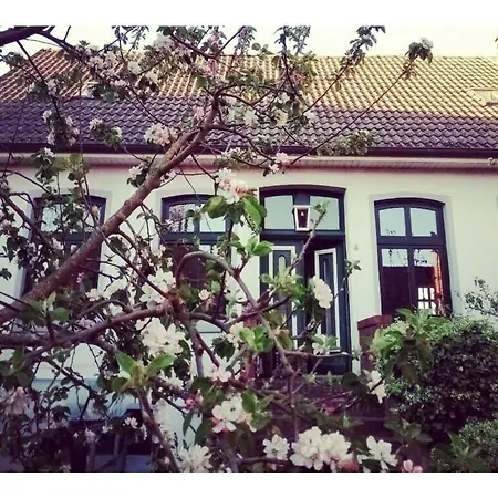 Holiday home Veerman's Ditzum