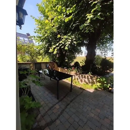 Veerman's Ditzum Holiday home *